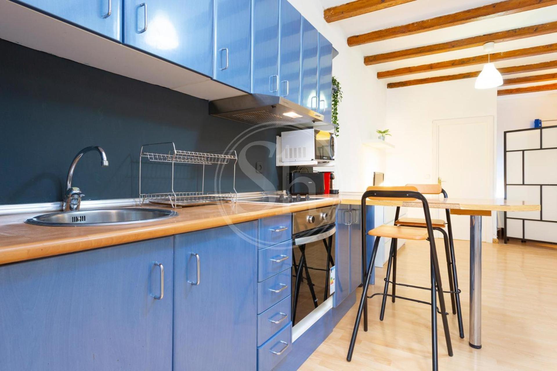 Loft En Gracia Con Terraza * Barcelona