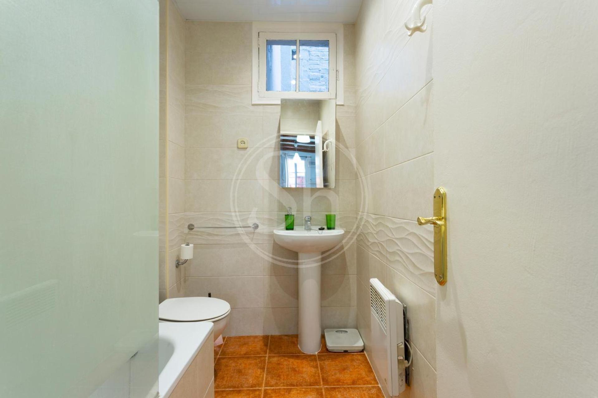 Loft En Gracia Con Terraza * Barcelona